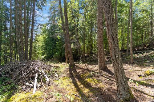 8475 Squilax-Anglemont Road, Anglemont, BC - Outdoor With View