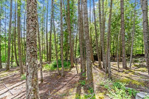 8475 Squilax-Anglemont Road, Anglemont, BC - Outdoor With View