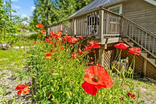 8475 Squilax-Anglemont Road, Anglemont, BC - Outdoor