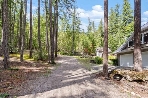 8475 Squilax-Anglemont Road, Anglemont, BC - Outdoor With View