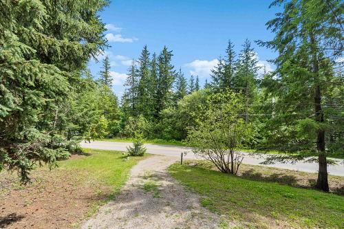 8475 Squilax-Anglemont Road, Anglemont, BC - Outdoor With View