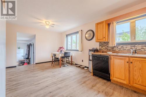 59 Powell Drive, Carbonear, NL - Indoor Photo Showing Kitchen With Double Sink