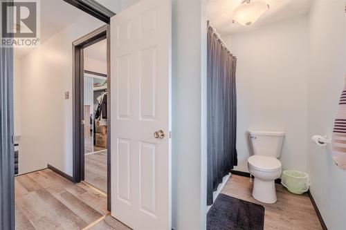 59 Powell Drive, Carbonear, NL - Indoor Photo Showing Bathroom