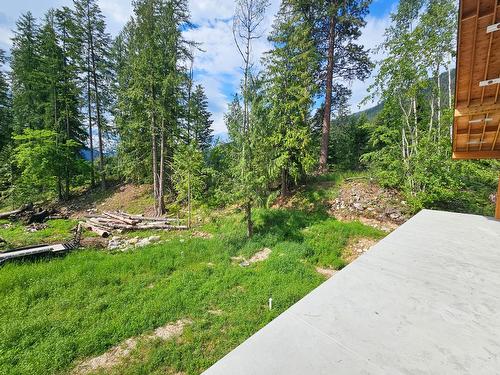 2801 Harlow Road, Nelson, BC - Outdoor