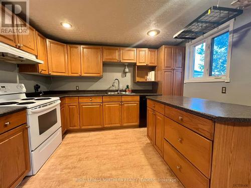 117 Floral Avenue, Timmins (Central), ON - Indoor Photo Showing Kitchen With Double Sink