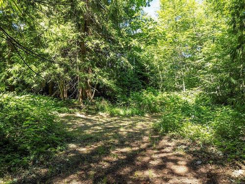 Lot-4 Cumberland Rd, Courtenay, BC 