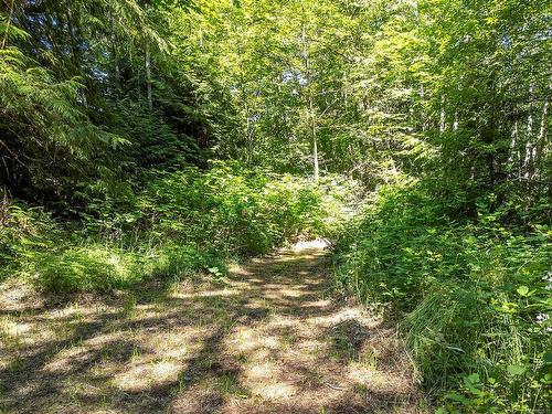 Lot-4 Cumberland Rd, Courtenay, BC 