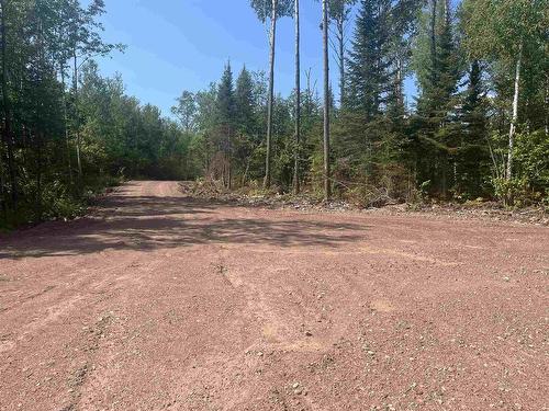 Lot 2 Grann Drive, Shuniah, ON 