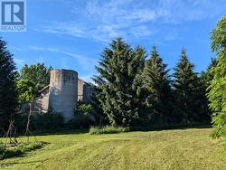 View with neighbours historic barn and mature trees - 