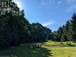 View from Rear of Lot looking East onto neighbouring property - 