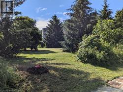 Survey stake of North Corner- view from road into the lot - 