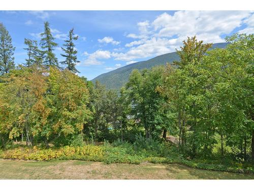 7 - 1691 Highway 3A, Nelson, BC - Outdoor With View