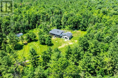 1662 County Road 40 Road, Douro-Dummer, ON - Outdoor