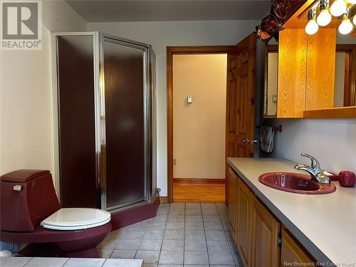 239 Dover Street, Campbellton, NB - Indoor Photo Showing Bathroom