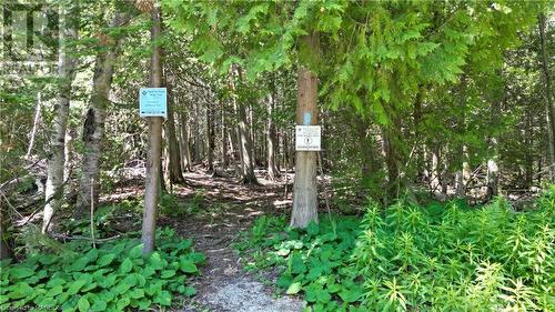 Bruce Trail entrance just down the road. - 16 Harkins Road, Miller Lake, ON 