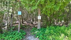 Bruce Trail entrance just down the road. - 