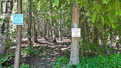 Bruce Trail entrance. - 