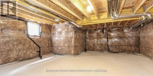 12 Rosanne Circle, Wasaga Beach, ON - Indoor Photo Showing Basement