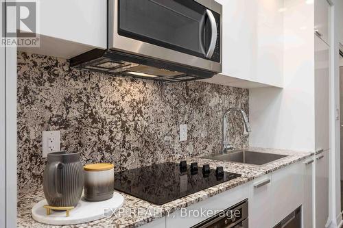 303 - 75 Canterbury Place, Toronto (Newtonbrook West), ON - Indoor Photo Showing Kitchen With Upgraded Kitchen