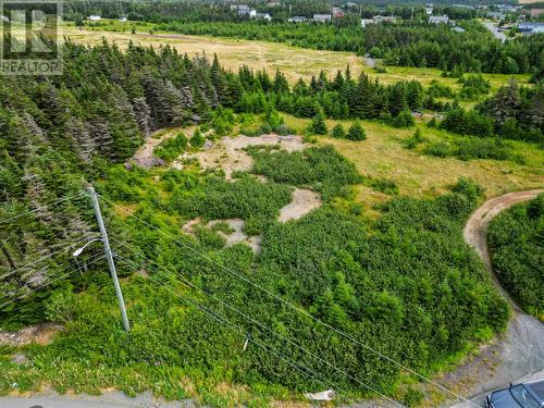 Lot 1 Judy'S Place, Flatrock, NL 