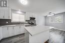 324 Shepherd, Windsor, ON  - Indoor Photo Showing Kitchen With Upgraded Kitchen 