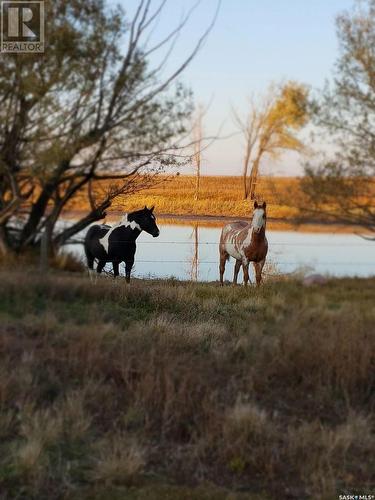 Chandler Acreage, Wood River Rm No. 74, SK - Outdoor With View