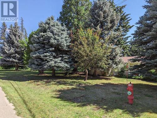 2309 5Th  Avenue, Castlegar, BC - Outdoor With View