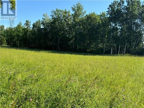 Beautiful Lot - Noonan Road, Westport, ON 