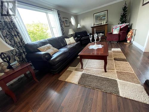 124 Raymonds Road, St. Bernards, NL - Indoor Photo Showing Living Room