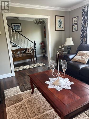 124 Raymonds Road, St. Bernards, NL - Indoor Photo Showing Living Room