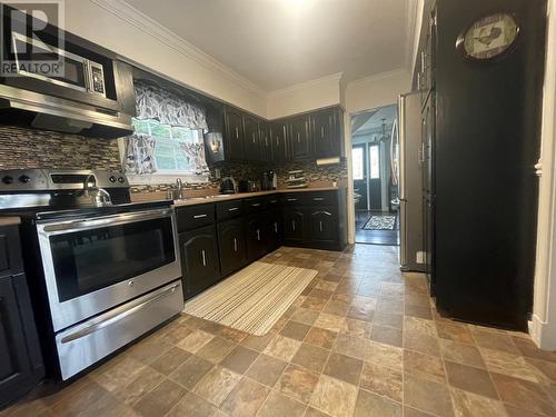 124 Raymonds Road, St. Bernards, NL - Indoor Photo Showing Kitchen