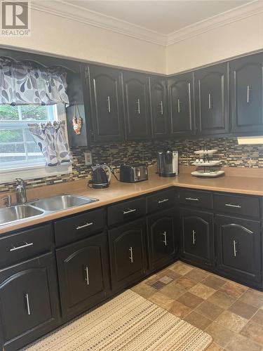 124 Raymonds Road, St. Bernards, NL - Indoor Photo Showing Kitchen With Double Sink