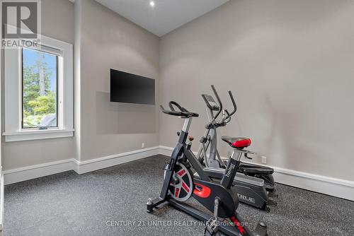 1971 Fiddlers Lane, Douro-Dummer, ON - Indoor Photo Showing Gym Room