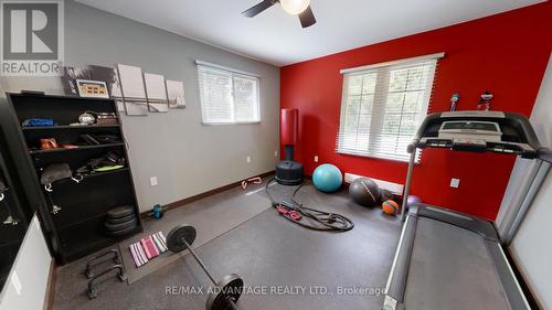 47105 Harding Smith Line, Central Elgin (Sparta), ON - Indoor Photo Showing Gym Room