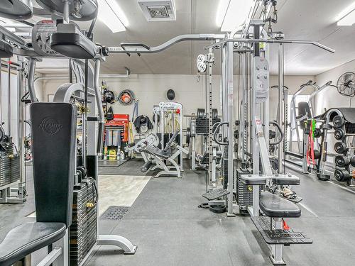 Garage - 9 155E Avenue, Saint-Hippolyte, QC - Indoor Photo Showing Gym Room