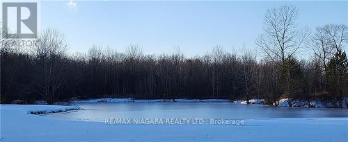 50672 Green Road S, Wainfleet, ON - Outdoor With Body Of Water With View