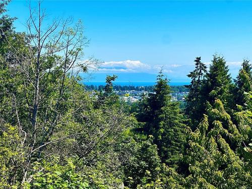 2326 Panorama View Dr, Nanaimo, BC - Outdoor With View