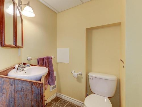 Powder room - 341 Route Du Long-Sault, Saint-André-D'Argenteuil, QC - Indoor Photo Showing Bathroom