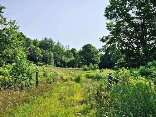 Land/Lot - 341 Route Du Long-Sault, Saint-André-D'Argenteuil, QC - Outdoor