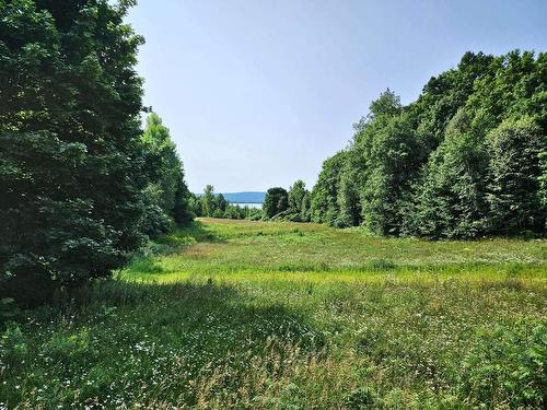 Land/Lot - 341 Route Du Long-Sault, Saint-André-D'Argenteuil, QC - Outdoor