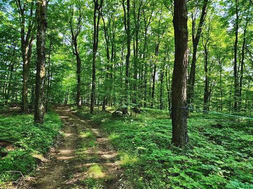 Terre/Terrain - 341Z Route Du Long-Sault, Saint-André-D'Argenteuil, QC 