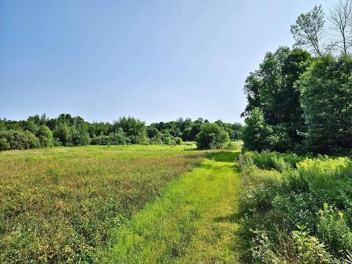 Terre/Terrain - 341Z Route Du Long-Sault, Saint-André-D'Argenteuil, QC 