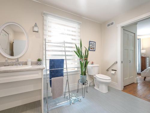 Salle de bains - 85 Rue Butternut, Hudson, QC - Indoor Photo Showing Bathroom