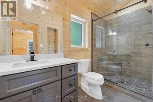 1121 Farm Lake Lane, North Frontenac, ON - Indoor Photo Showing Bathroom