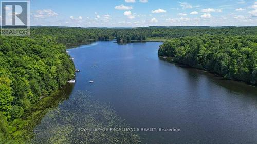 1121 Farm Lake Lane, North Frontenac, ON - Outdoor With Body Of Water With View