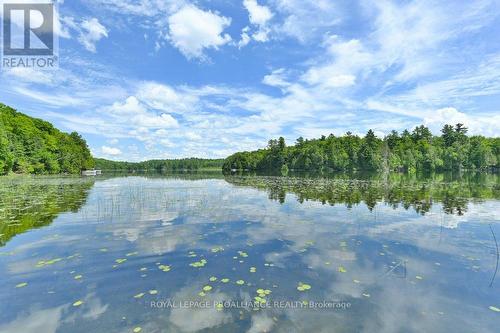 1121 Farm Lake Lane, North Frontenac, ON - Outdoor With Body Of Water With View