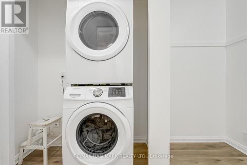 2025 - 100 Mornelle Court, Toronto, ON - Indoor Photo Showing Laundry Room