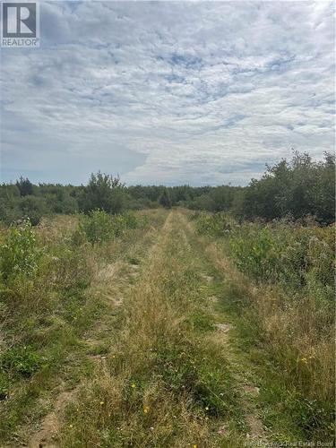 Lot Dugay Point Road, Little Shemogue, NB 