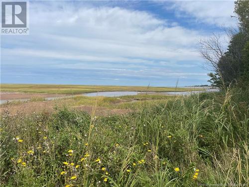 Lot Dugay Point Road, Little Shemogue, NB 