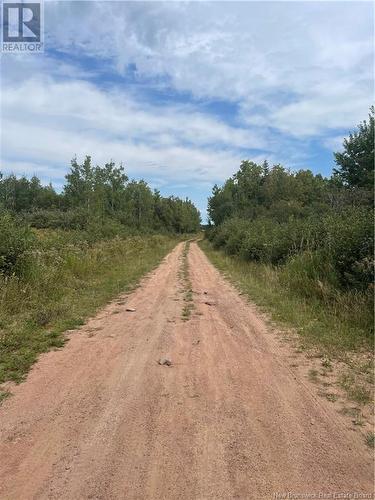 Lot Dugay Point Road, Little Shemogue, NB 